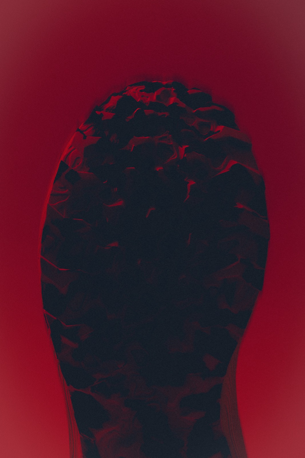 Davide Polese — fotografia